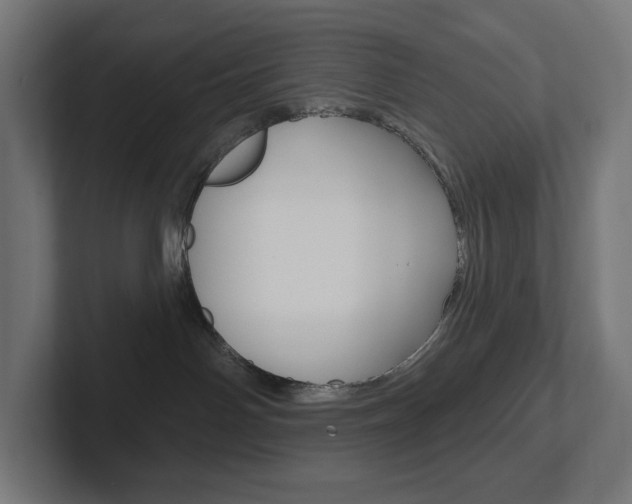 X0000102400142200808011003