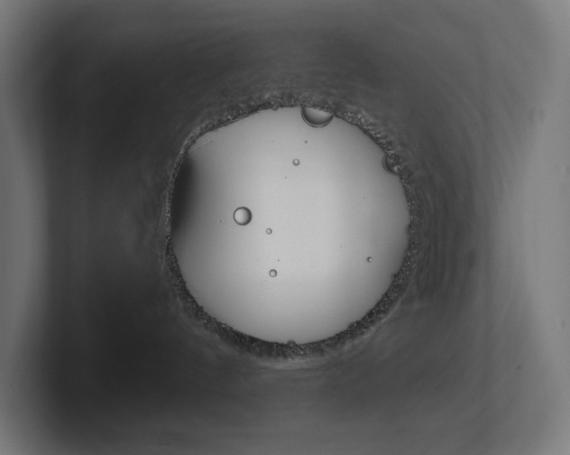 X0000102400144200808011003