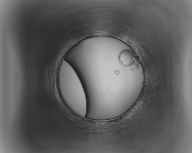 X0000102400145200808011002