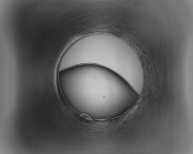 X0000102400148200808011002