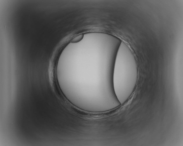 X0000102400149200808011003