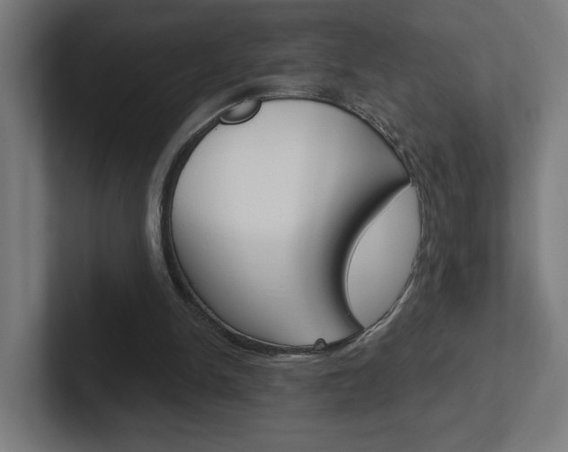 X0000102400150200808011003