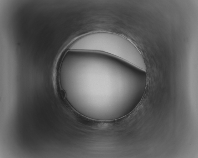 X0000102400152200808011003