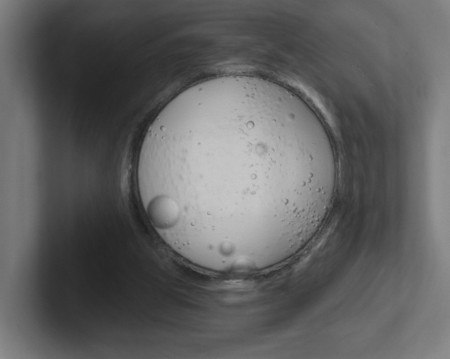 X0000102400153200808011003