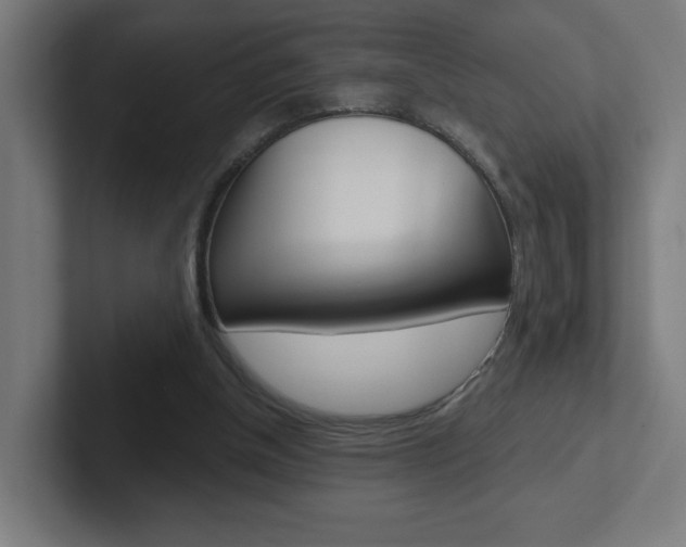 X0000102400154200808011003