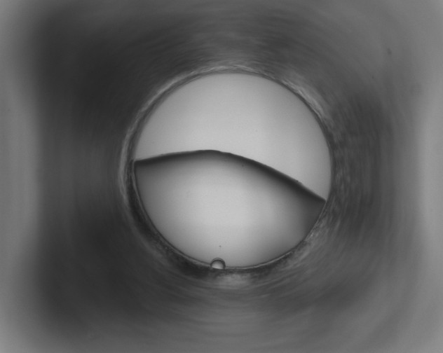 X0000102400156200808011003