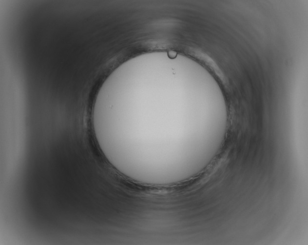 X0000102400161200808011003