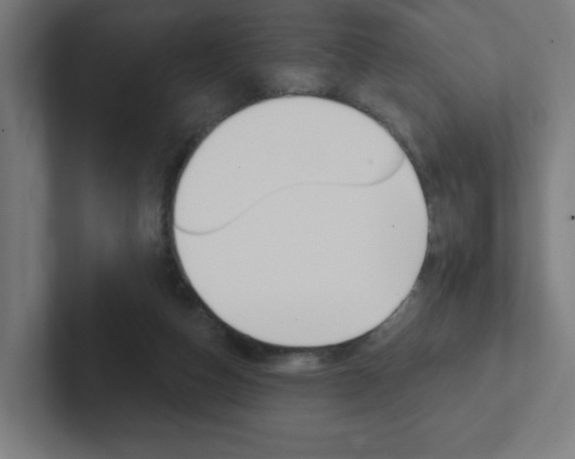 X0000102400162200808011003