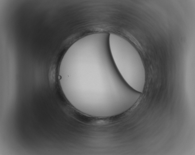 X0000102400163200808011003