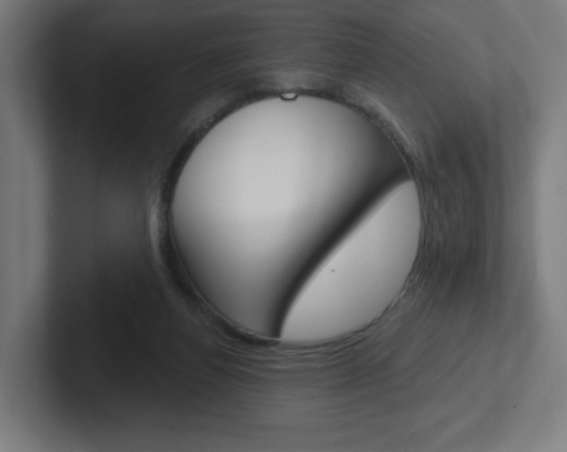 X0000102400164200808011003