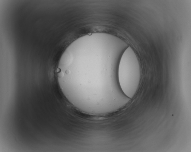 X0000102400169200808011003