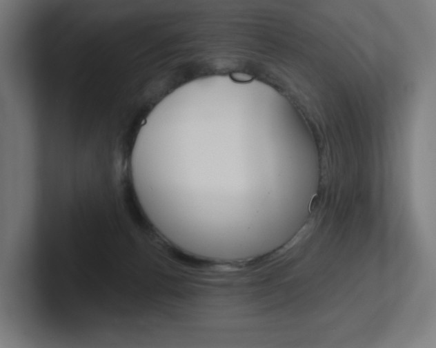X0000102400176200808011003
