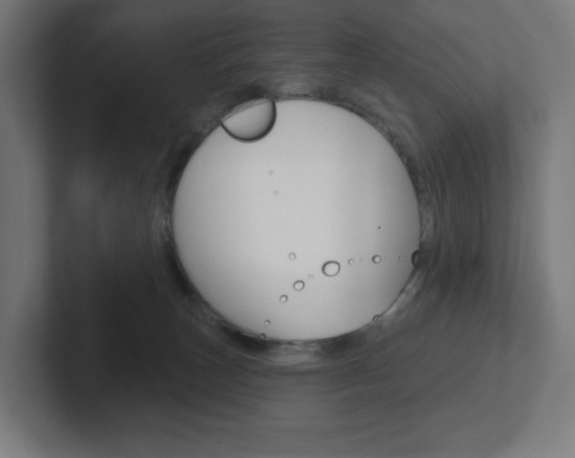 X0000102400179200808011003