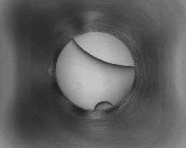 X0000102400181200808011003
