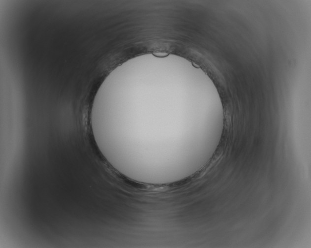 X0000102400185200808011003