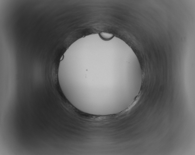 X0000102400186200808011003