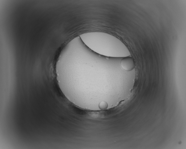 X0000102400187200808011003