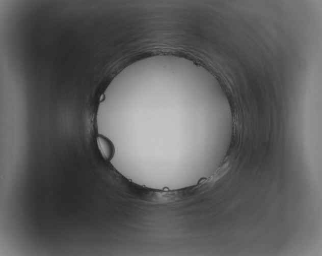 X0000102400188200808011003