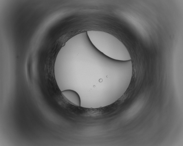 X0000102400189200808011003