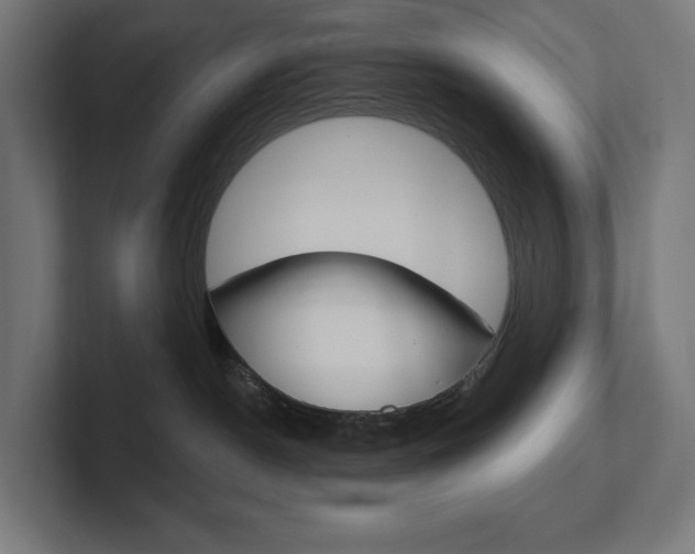 X0000102400190200808011003