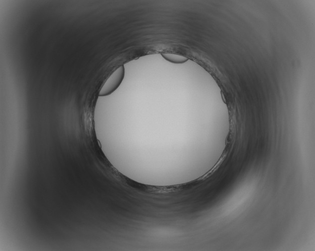 X0000102400191200808011003