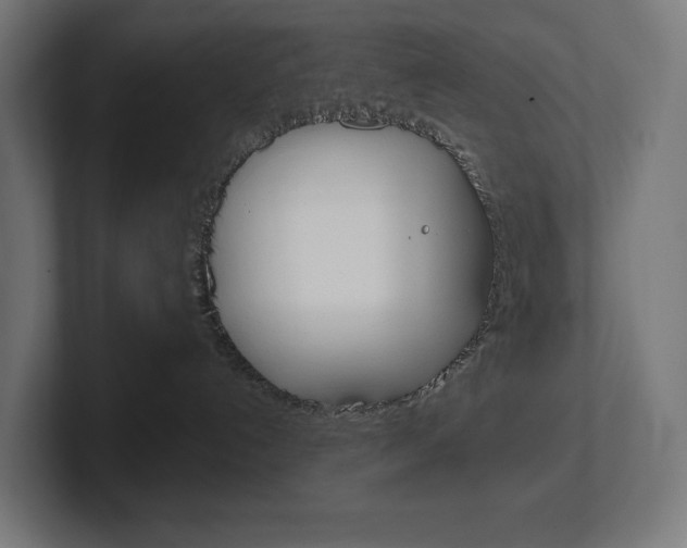 X0000102400192200808011003