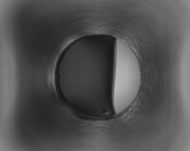X0000102400196200808011002