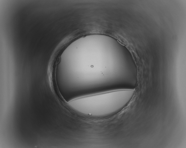 X0000102400197200808011002