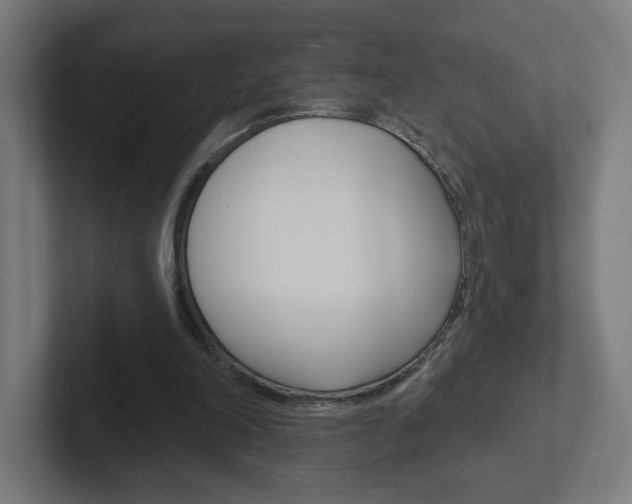 X0000102400198200808011002