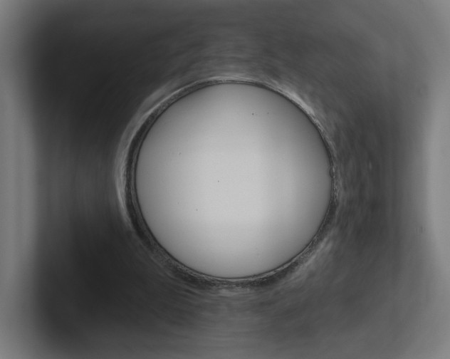 X0000102400199200808011002