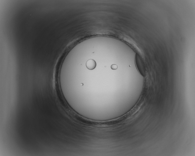 X0000102400203200808011002