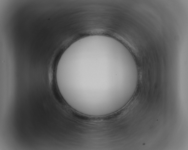 X0000102400206200808011002