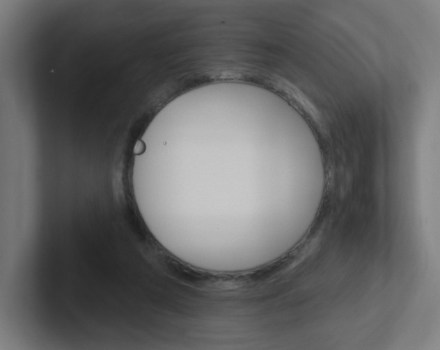 X0000102400209200808011002