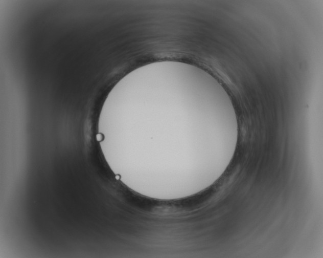 X0000102400211200808011002