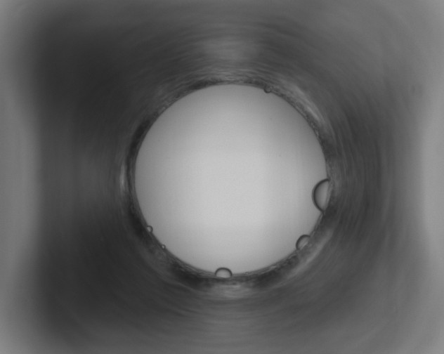 X0000102400213200808011002