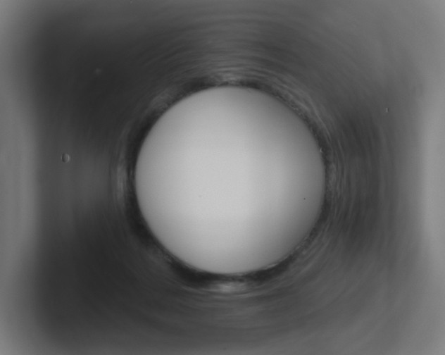 X0000102400220200808011002
