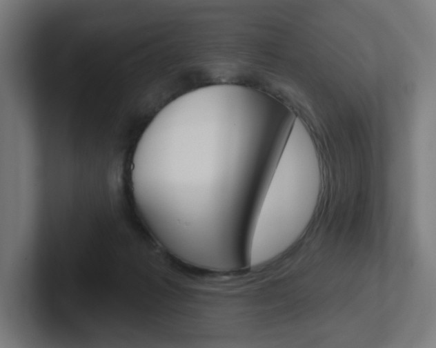 X0000102400221200808011002
