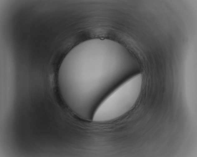 X0000102400224200808011002