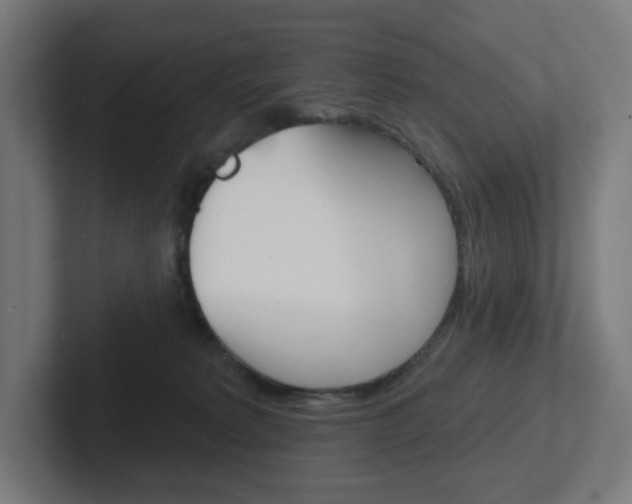 X0000102400229200808011002