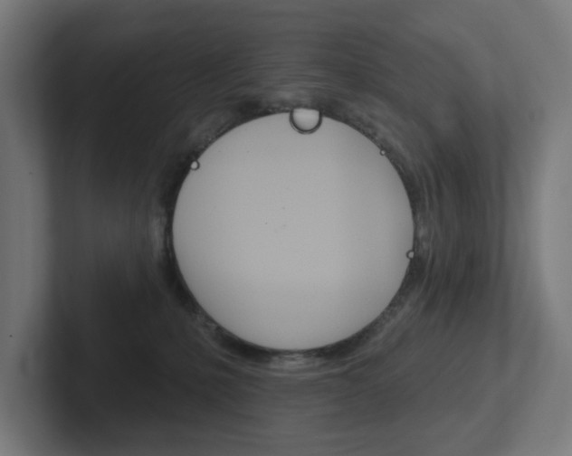X0000102400231200808011002