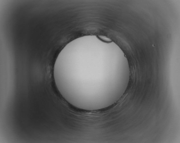 X0000102400232200808011002