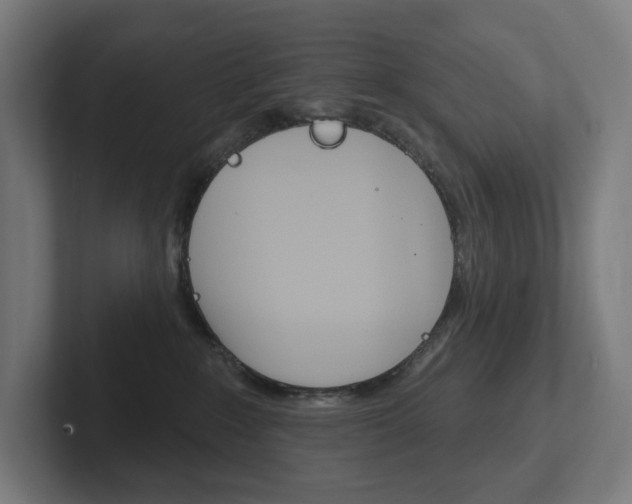 X0000102400235200808011002