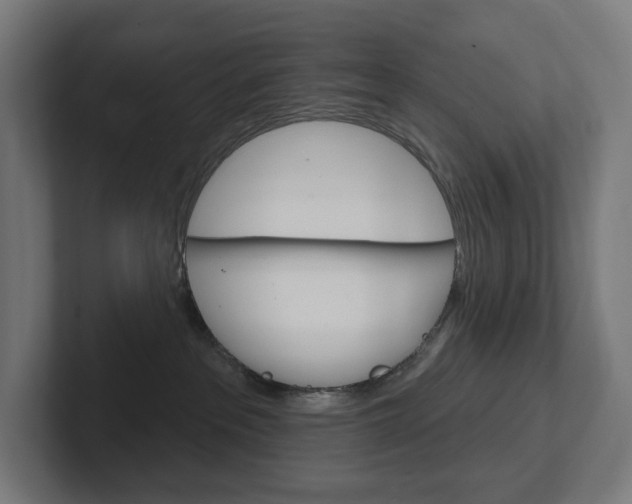 X0000102400237200808011002
