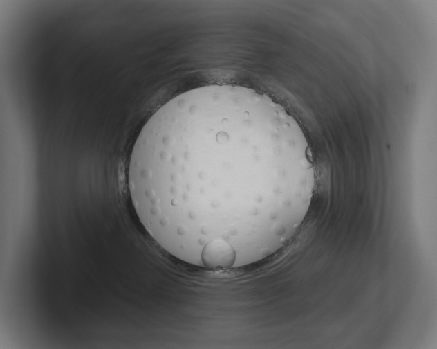 X0000102400238200808011002