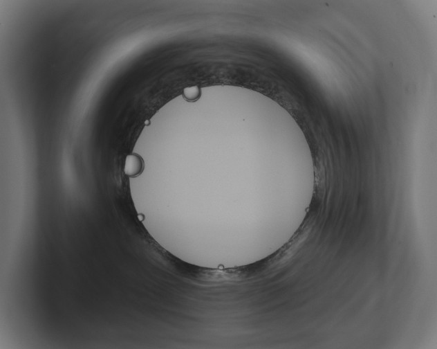 X0000102400239200808011002