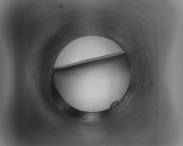 X0000102400240200808011002