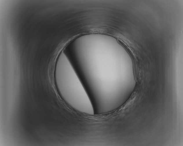 X0000102400241200808011001