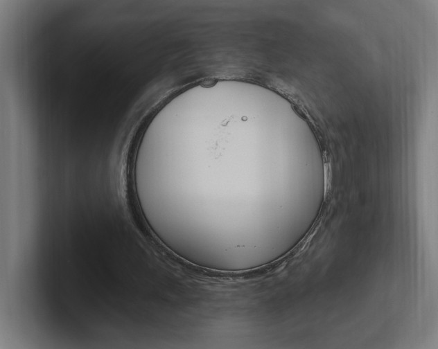 X0000102400243200808011001