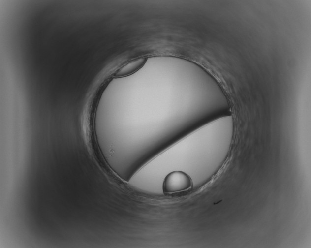 X0000102400245200808011001