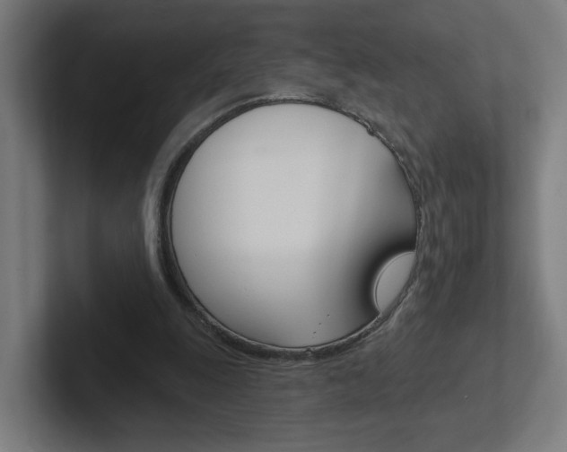 X0000102400247200808011001